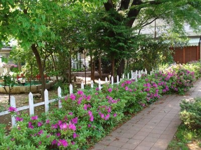東京慈恵会医科大学附属第三病院 日常風景3