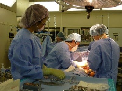 国立がん研究センター中央病院 日常風景1