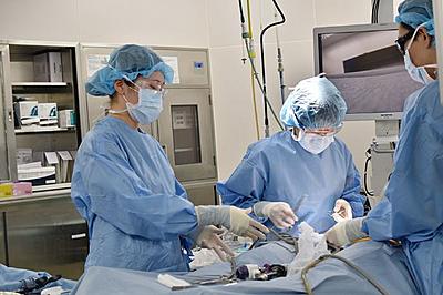 イムス札幌消化器中央総合病院 日常風景2