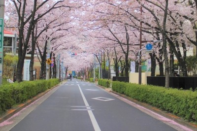 IMS（イムス）グループ 医療法人社団 明芳会 イムス東京葛飾総合病院 日常風景3