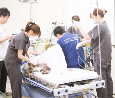 名古屋掖済会病院 日常風景2