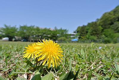 社会福祉法人 桜ヶ丘社会事業協会 桜ヶ丘記念病院 日常風景3